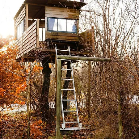 Scandinavian Gem Near Area *