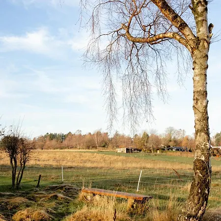 Scandinavian Gem Near Area *